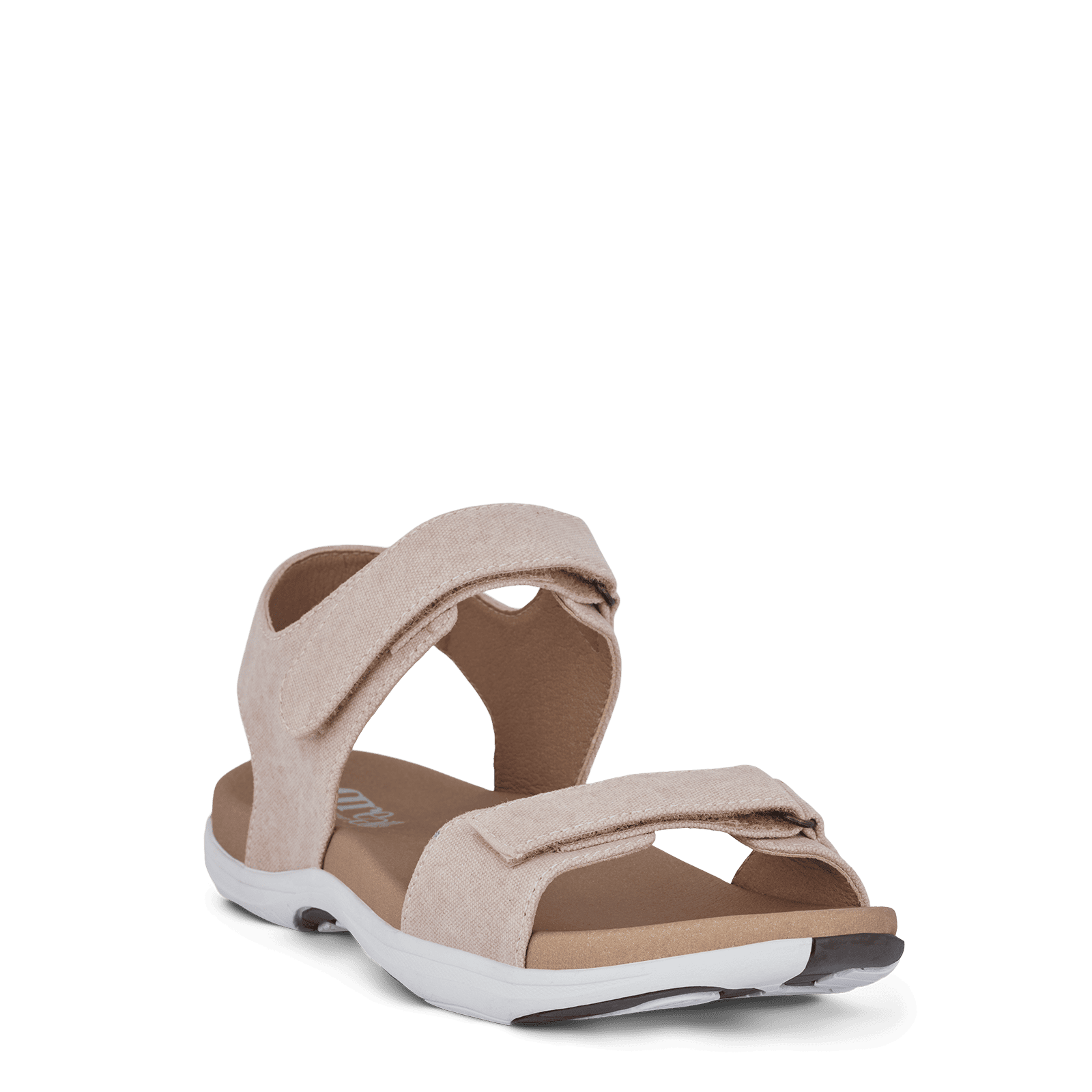 CORSICA CHRISTA - ROSE